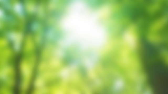 白内障の見え方