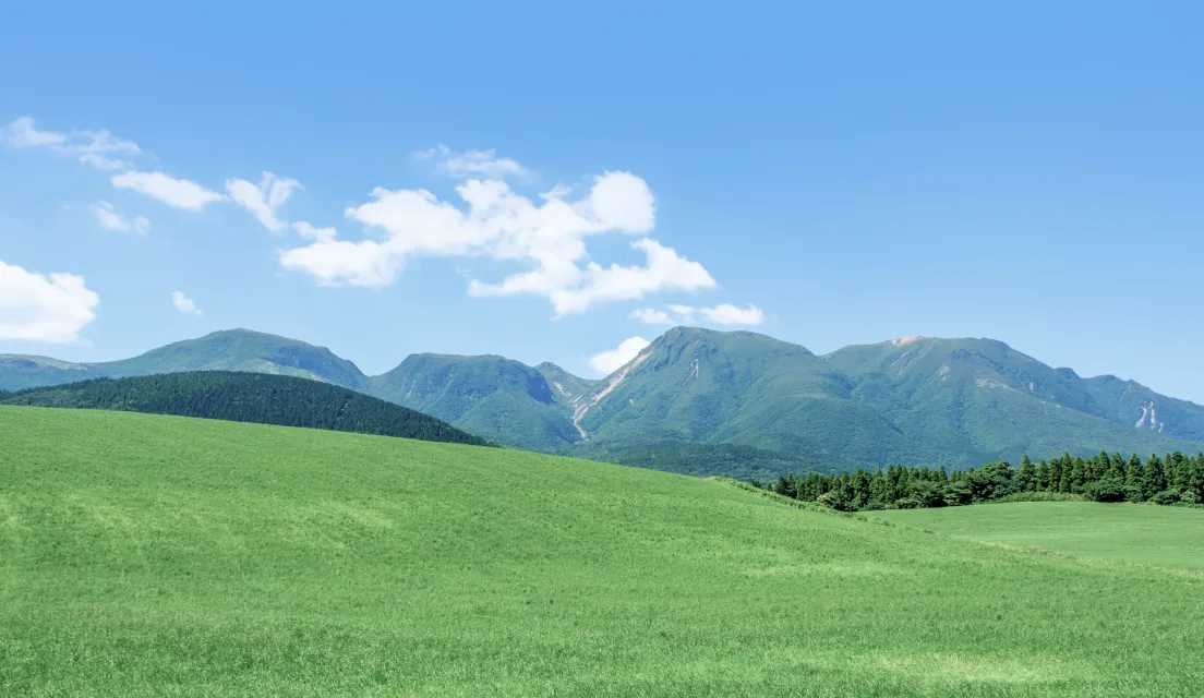 正常な目の見え方