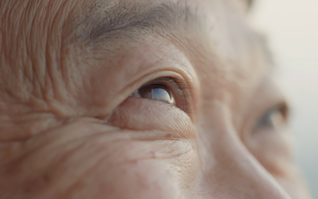 老眼の原因とメカニズム