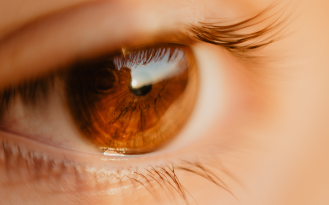 硝子体手術の対応疾患